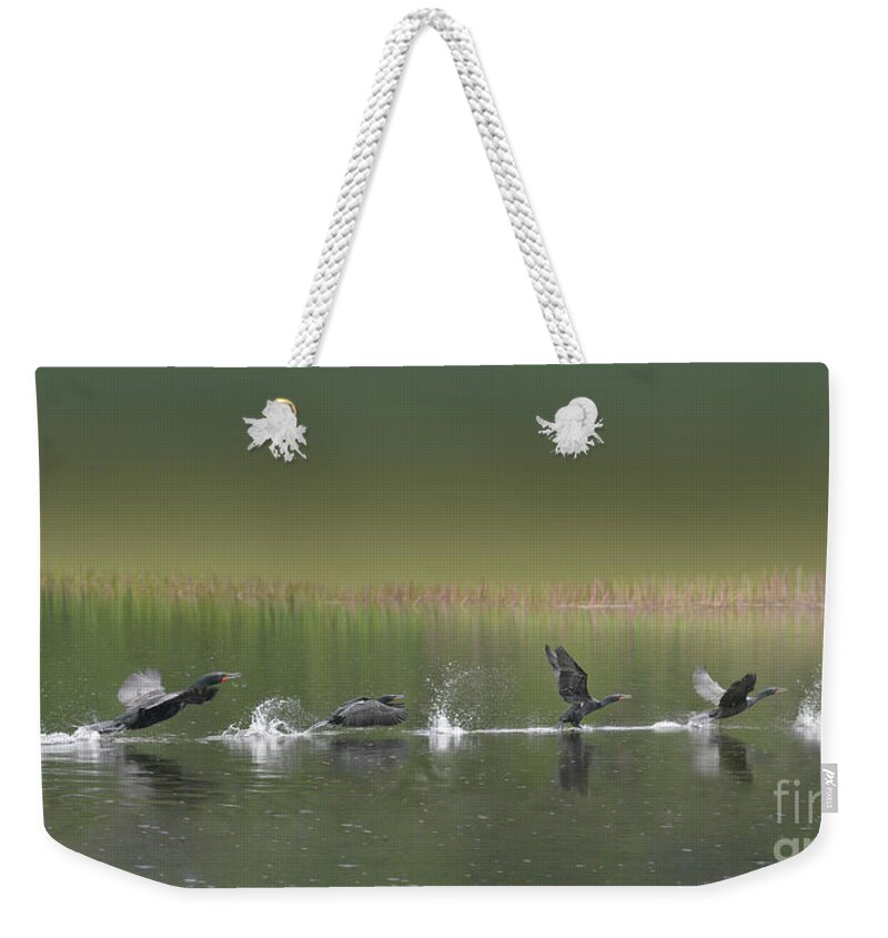 Double Weekender Tote Bag featuring the photograph Skimming On Top by Vivian Martin