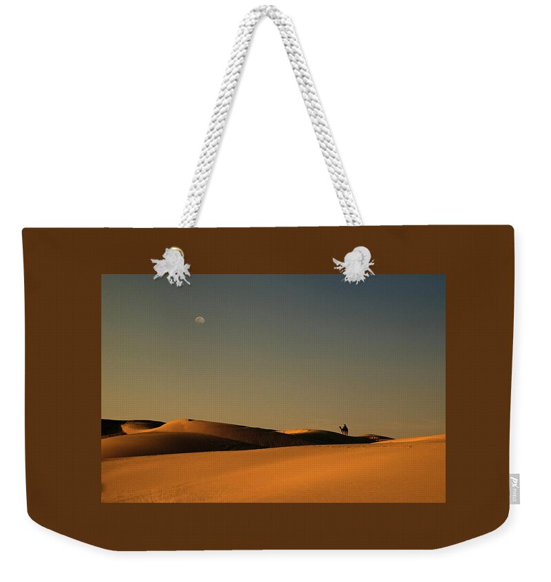 Camel Weekender Tote Bag featuring the photograph SKN 1117 Camel Ride at 6 by Sunil Kapadia