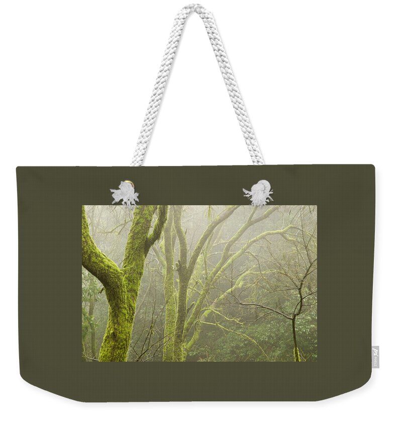 Fog Weekender Tote Bag featuring the photograph SKN 3726 Fog and Moss by Sunil Kapadia