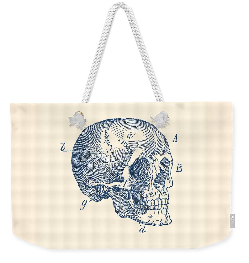 Skeleton Weekender Tote Bag featuring the drawing Skull Diagram - Vintage Anatomy Poster by Vintage Anatomy Prints