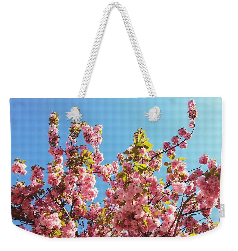 Cherry Blossoms Weekender Tote Bag featuring the photograph Sky Blooms by Onedayoneimage Photography