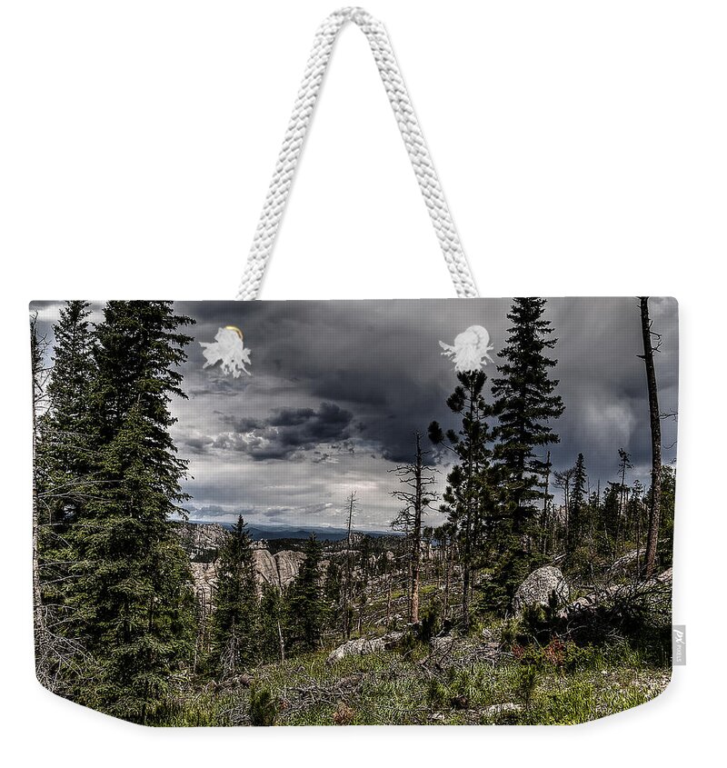 Nature Weekender Tote Bag featuring the photograph Sky-high by Deborah Klubertanz