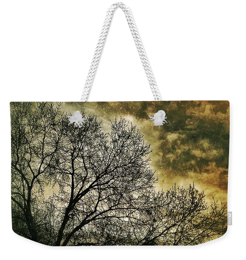 Photography Weekender Tote Bag featuring the photograph Skyward by Al Harden