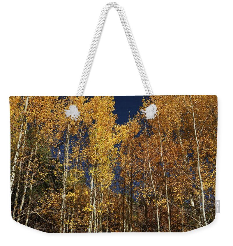 Landscape Weekender Tote Bag featuring the photograph Skyward Aspens by Ron Cline