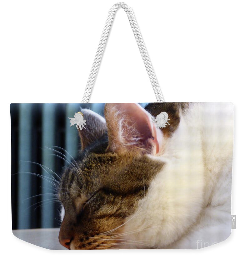 Cat Weekender Tote Bag featuring the photograph Sleeping Cat by Leara Nicole Morris-Clark