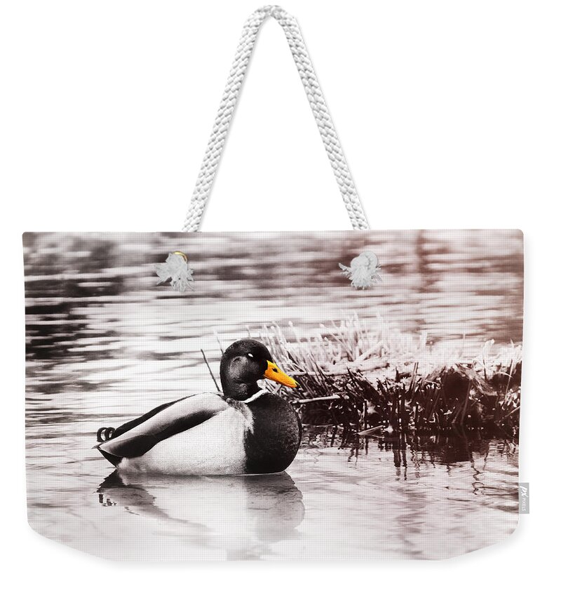 Duck Weekender Tote Bag featuring the photograph Sleeping Duck by Jaroslav Buna