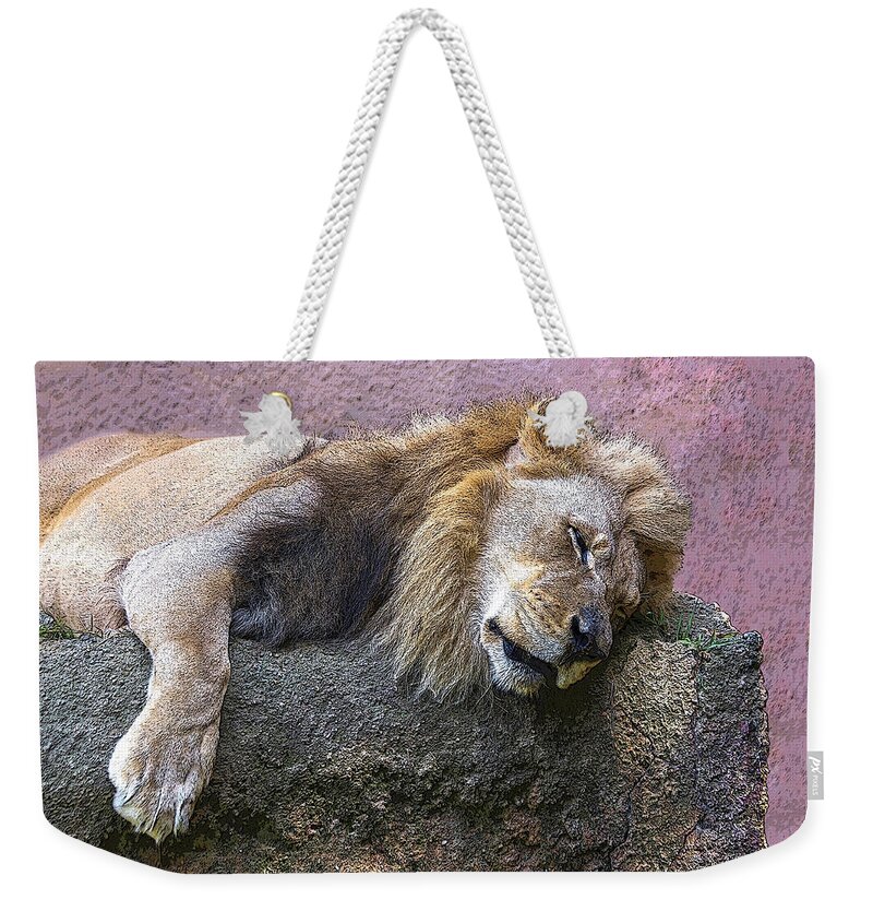Lion Weekender Tote Bag featuring the photograph Sleeping Lion by Roslyn Wilkins