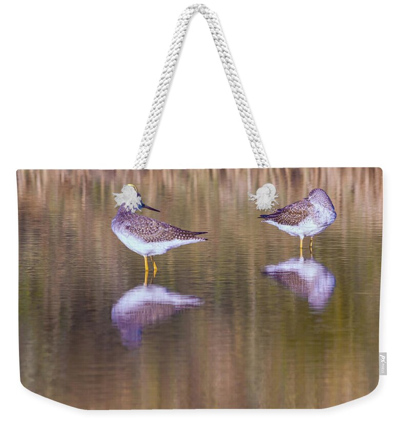 Nature Weekender Tote Bag featuring the photograph Sleeping Now? by Jonathan Nguyen