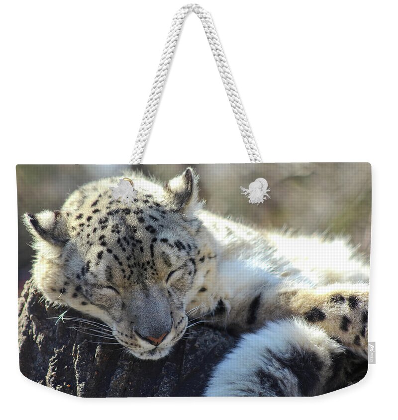 Snow Leopard Weekender Tote Bag featuring the photograph Sleeping Snow Leopard by Holly Ross