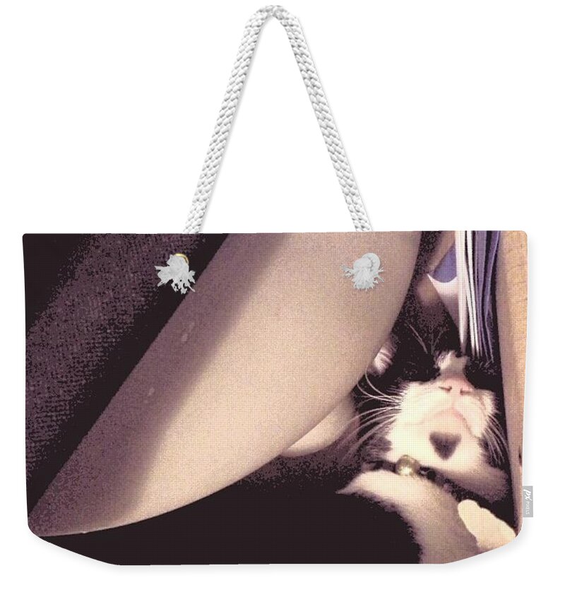 Cat Weekender Tote Bag featuring the photograph Sleeping with Things #2 by Sukalya Chearanantana