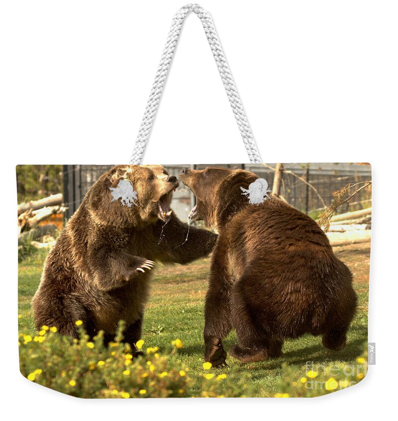Grizzly Bears Weekender Tote Bag featuring the photograph Slobbering Warriors Close Up by Adam Jewell