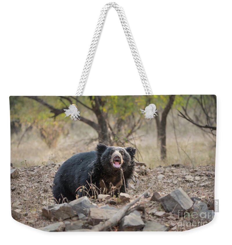Wildlife Weekender Tote Bag featuring the digital art Sloth Bear Stare by Pravine Chester