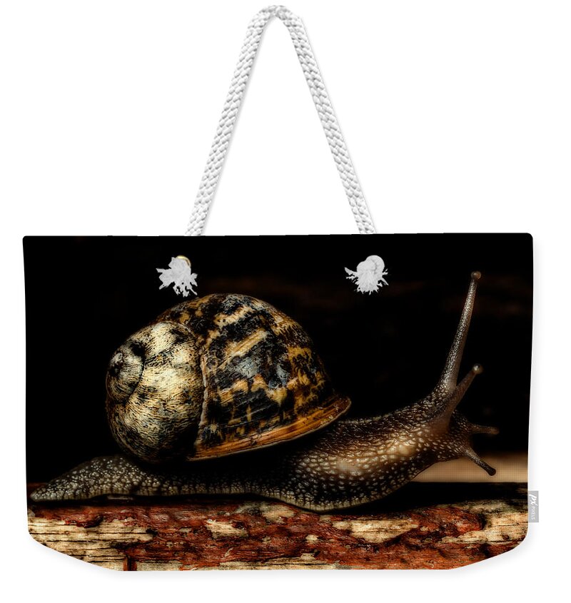 Birds & Animals Weekender Tote Bag featuring the photograph Slow Mover by Nick Bywater