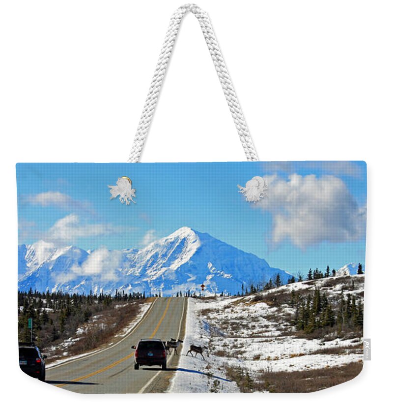 Caribou Weekender Tote Bag featuring the photograph Small Alaska Traffic Jam by Cathy Mahnke