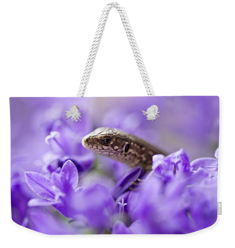 Animal Weekender Tote Bag featuring the photograph Small lizard by Jaroslaw Blaminsky