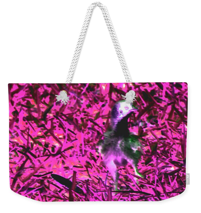 Abstract Weekender Tote Bag featuring the photograph Small One by Gina O'Brien