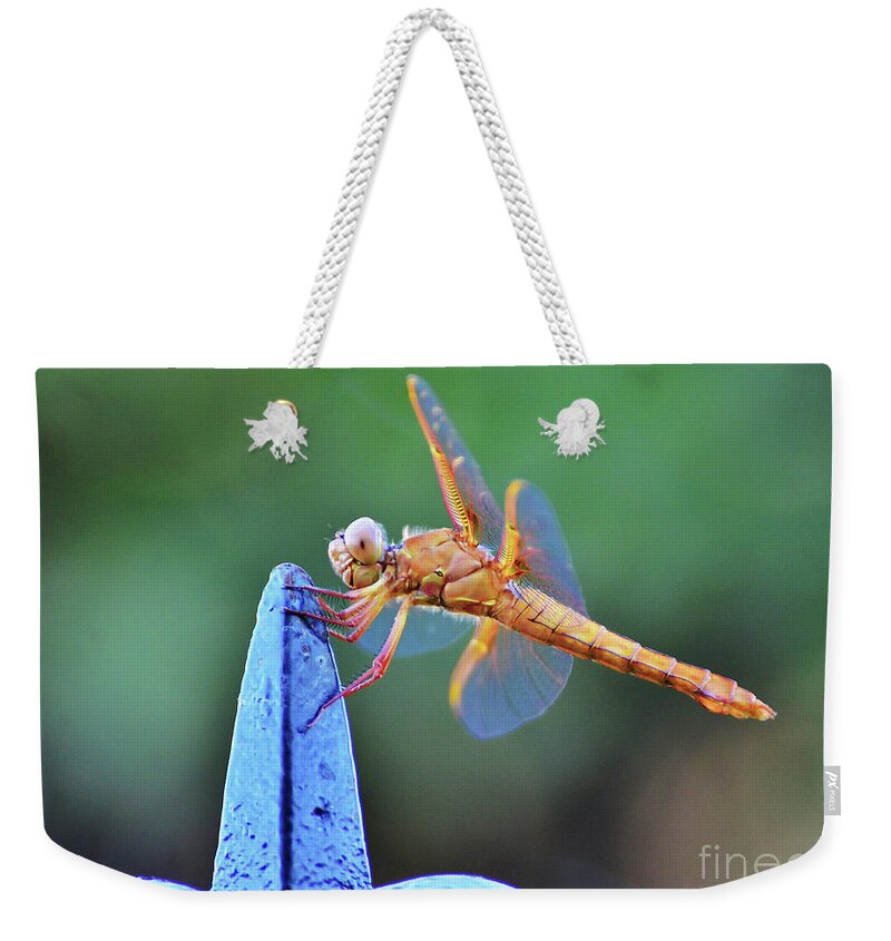 Dragonfly Weekender Tote Bag featuring the photograph Smile for the Camera by Debby Pueschel