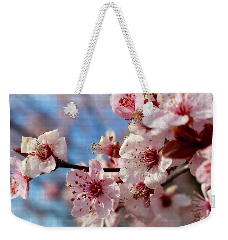 Photography Weekender Tote Bag featuring the photograph Smiling Flowering Plum Tree Blooms by M E