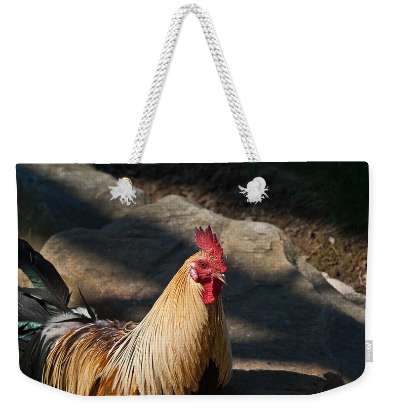 Rooster Weekender Tote Bag featuring the photograph Smiling Rooster by Douglas Barnett