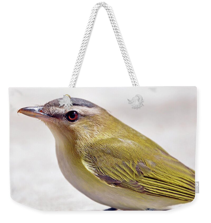 Goldfinch Weekender Tote Bag featuring the photograph Smooth by Glenn Gordon
