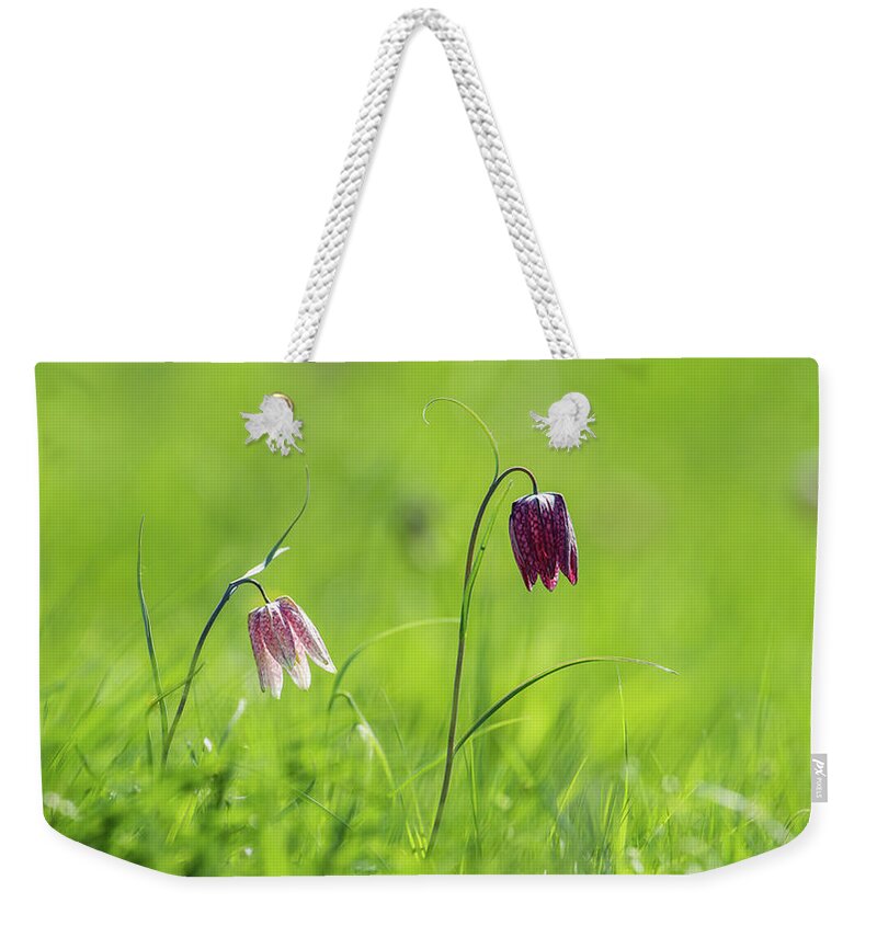 Snake's Head Weekender Tote Bag featuring the photograph Snake's head pink and purple bells by Torbjorn Swenelius