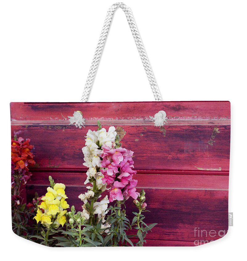 Snapdragon Weekender Tote Bag featuring the photograph Snapdragons and red door by Cindy Garber Iverson