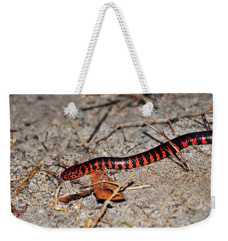Snake Weekender Tote Bag featuring the photograph Snazzy Snake by Al Powell Photography USA