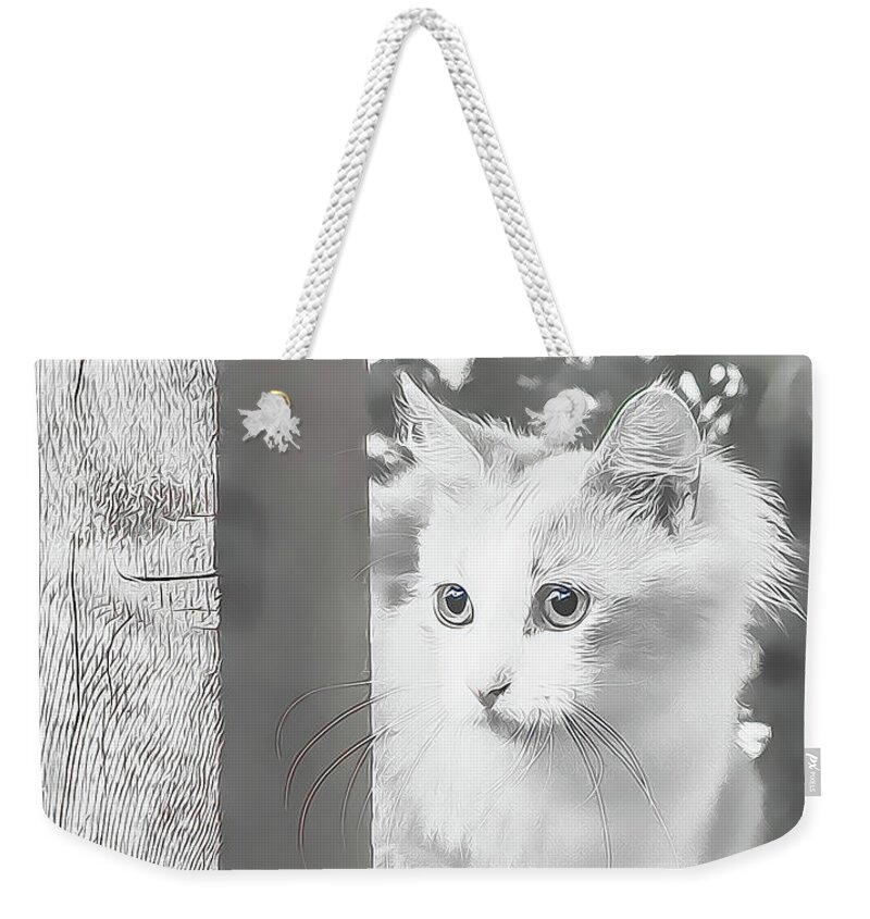 Kitty Weekender Tote Bag featuring the photograph Sneak Peek by Jennifer Grossnickle