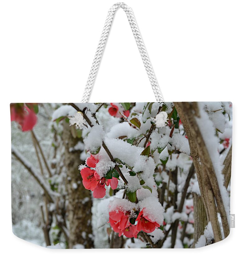Snow Weekender Tote Bag featuring the photograph Snow Flowers by Ally White