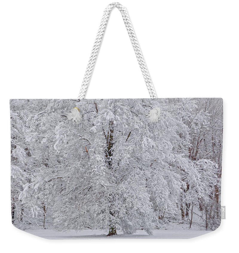 Snow Weekender Tote Bag featuring the photograph Snow Globe by Angelo Marcialis