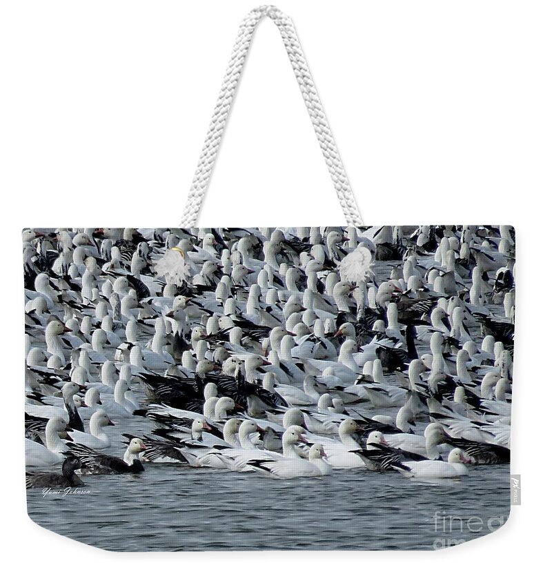 Birds Weekender Tote Bag featuring the photograph Snow Goose by Yumi Johnson