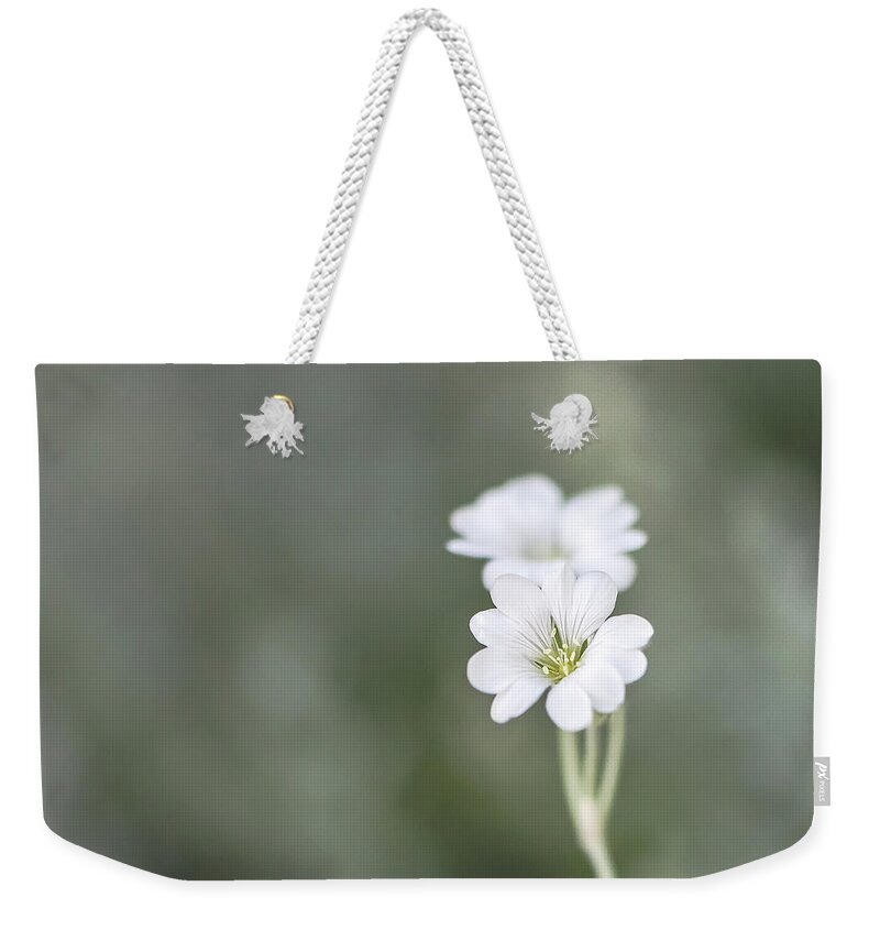 Summer Weekender Tote Bag featuring the photograph Snow In Summer by Jennifer Grossnickle