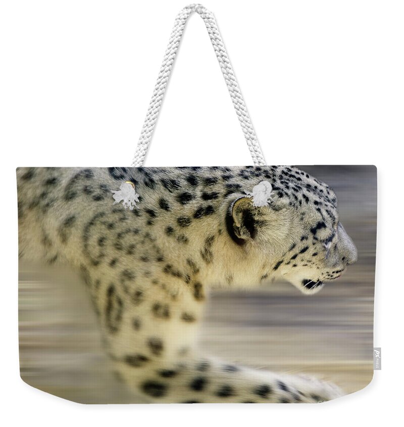 Snow Leopard Weekender Tote Bag featuring the photograph Snow Leopard On The Move by Bob Christopher