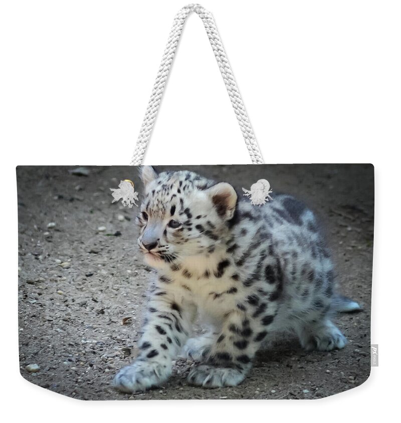 Terry D Photography Weekender Tote Bag featuring the photograph Snow Leopard Cub by Terry DeLuco