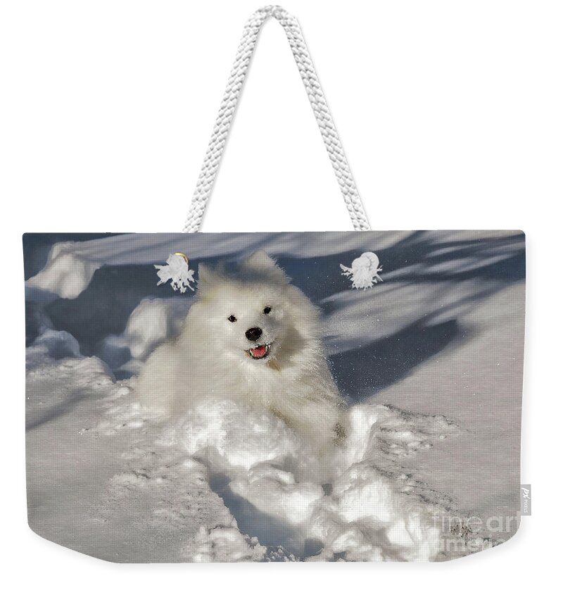 Dog Weekender Tote Bag featuring the photograph Snow Queen by Lois Bryan