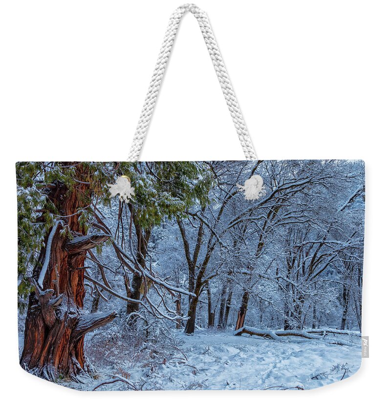 Landscape Weekender Tote Bag featuring the photograph Snow Trees by Jonathan Nguyen