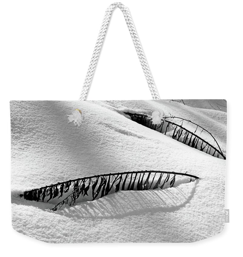 Snow Weekender Tote Bag featuring the photograph Snowbound by Debbie Oppermann