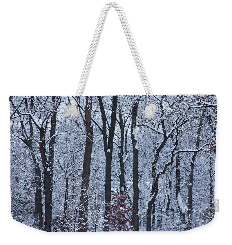 Christmas Weekender Tote Bag featuring the photograph Snowy Austin Gardens by Todd Bannor