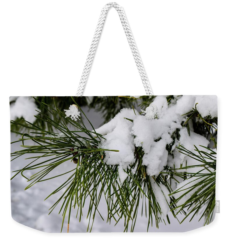 Snow Weekender Tote Bag featuring the photograph Snowy Branch by Nicole Lloyd