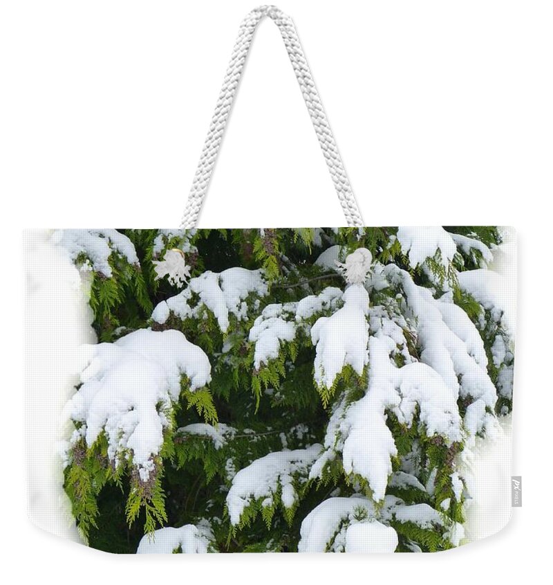 Snowy Cedar Boughs Weekender Tote Bag featuring the photograph Snowy Cedar Boughs by Will Borden