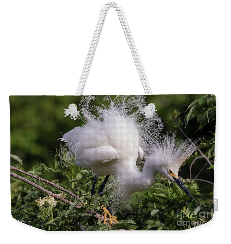 Egrets Weekender Tote Bag featuring the photograph Snowy Decsending by DB Hayes