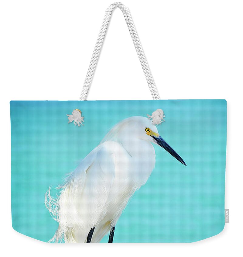 Bird Weekender Tote Bag featuring the photograph Snowy Egret by Jennifer Wright