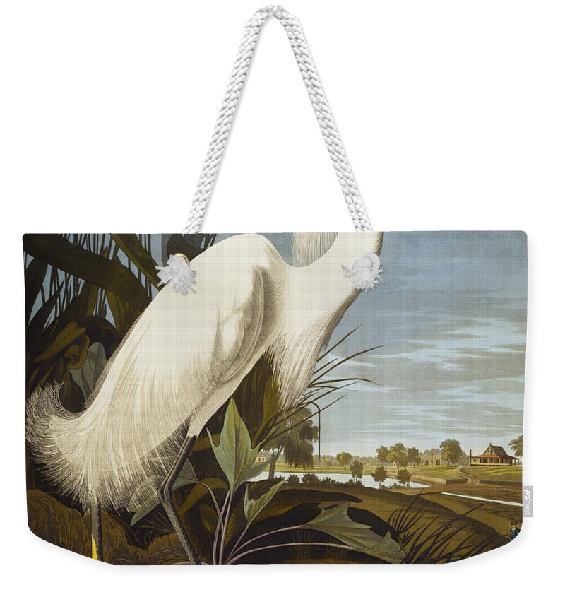 Snowy Heron Or White Egret Weekender Tote Bag featuring the drawing Snowy Heron by John James Audubon