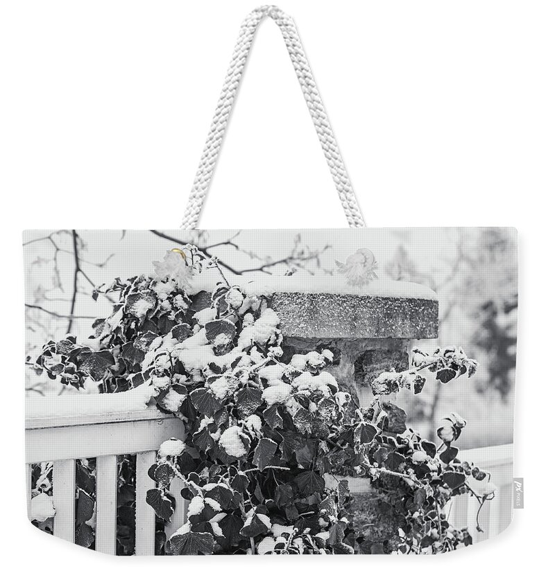 Jenny Rainbow Fine Art Photography Weekender Tote Bag featuring the photograph Snowy Ivy on Fence. Black and White by Jenny Rainbow