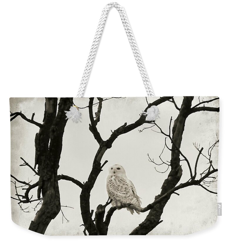 Snowy Owl Weekender Tote Bag featuring the photograph Snowy Owl by Dark Whimsy