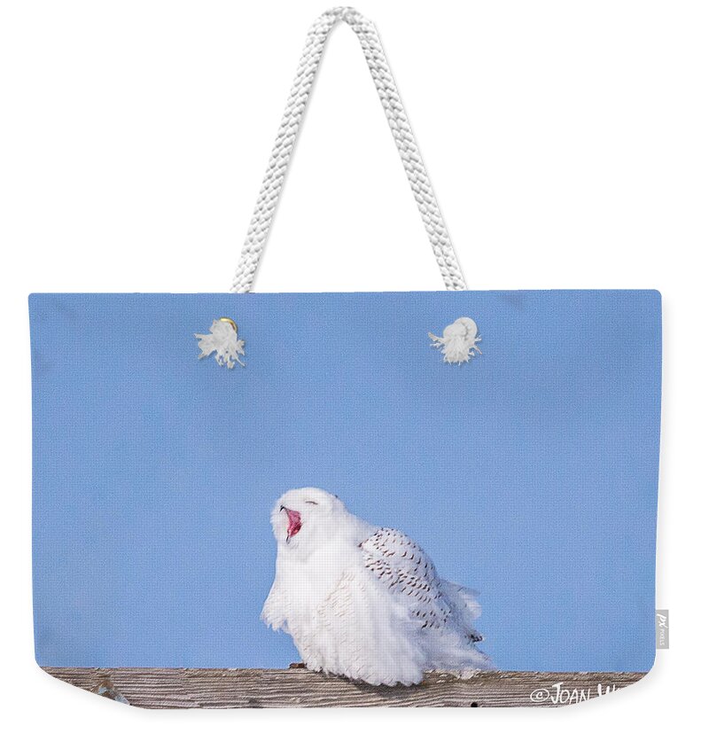 Dakota County Weekender Tote Bag featuring the photograph Snowy Owl Screech by Joan Wallner