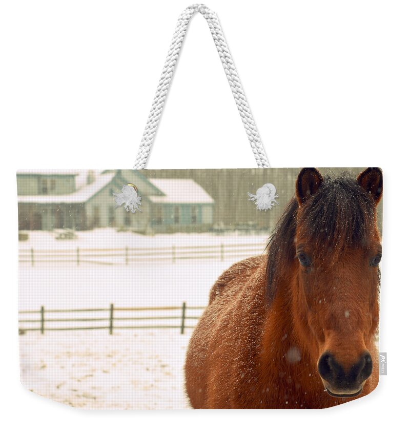 Horse Weekender Tote Bag featuring the photograph Horse #1 by Marysue Ryan