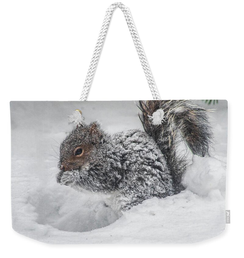 Squirrel Weekender Tote Bag featuring the photograph Snowy Squirrel by Cathy Kovarik