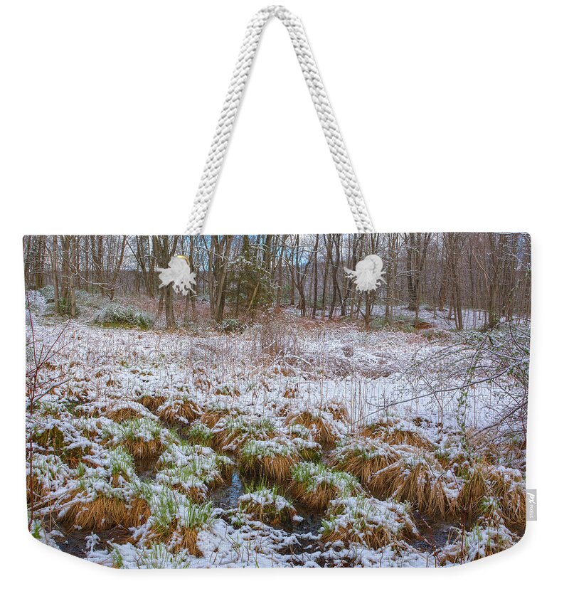 Wetlands Weekender Tote Bag featuring the photograph Snowy Wetlands by Angelo Marcialis