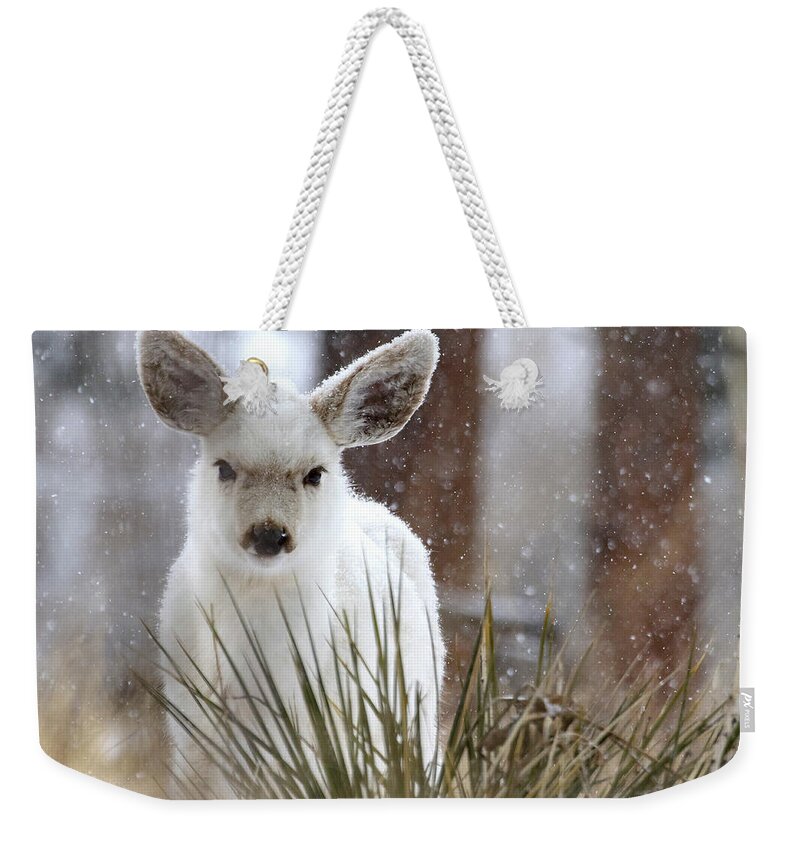 White Fawn Weekender Tote Bag featuring the photograph Snowy White Fawn by Mindy Musick King